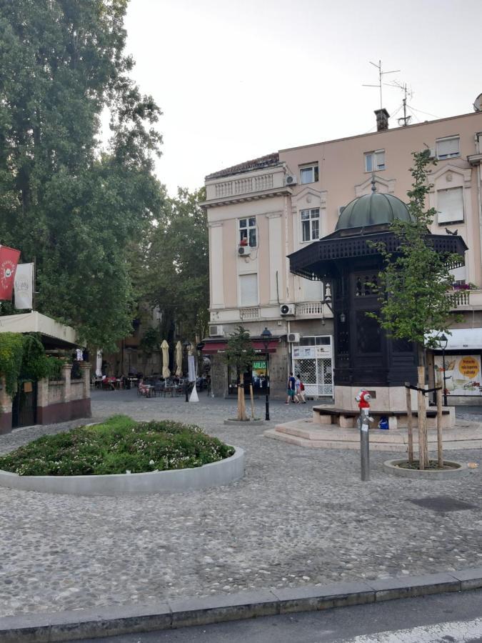 Rooster Apartments Belgrad Zewnętrze zdjęcie